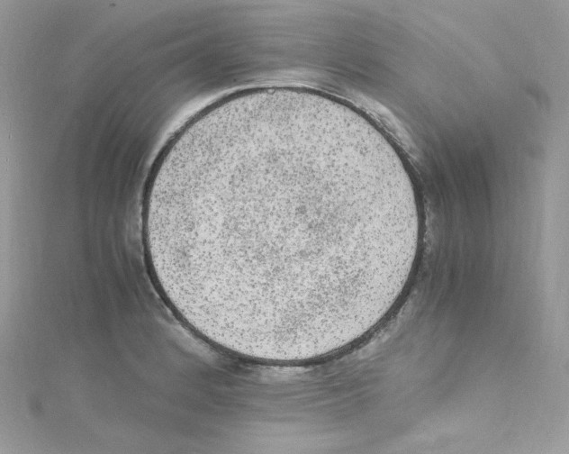 X0000114661184200911171104