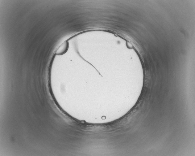 X0000114661187200911171104