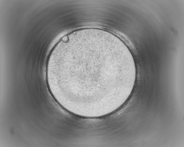 X0000114661188200911171104