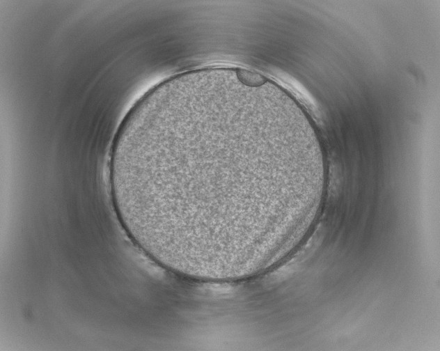 X0000114661190200911171104