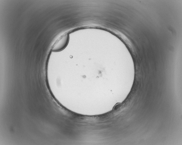 X0000114661191200911171104