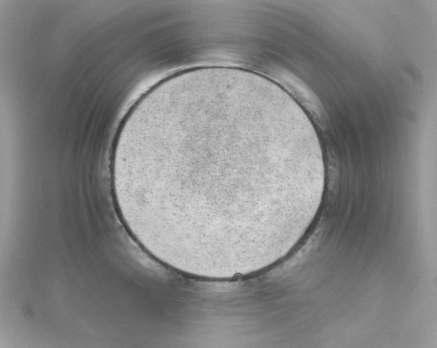 X0000114661192200911171104