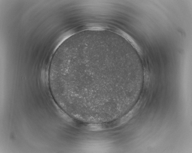 X0000114661194200911171104