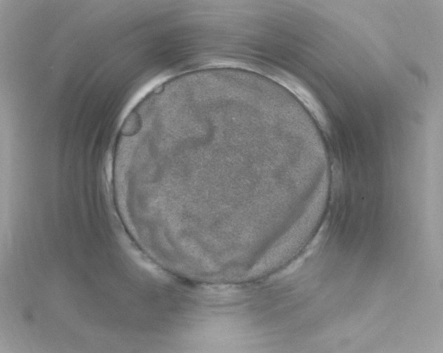 X0000114661198200911171104