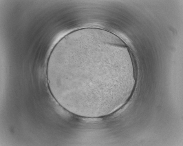 X0000114661200200911171104