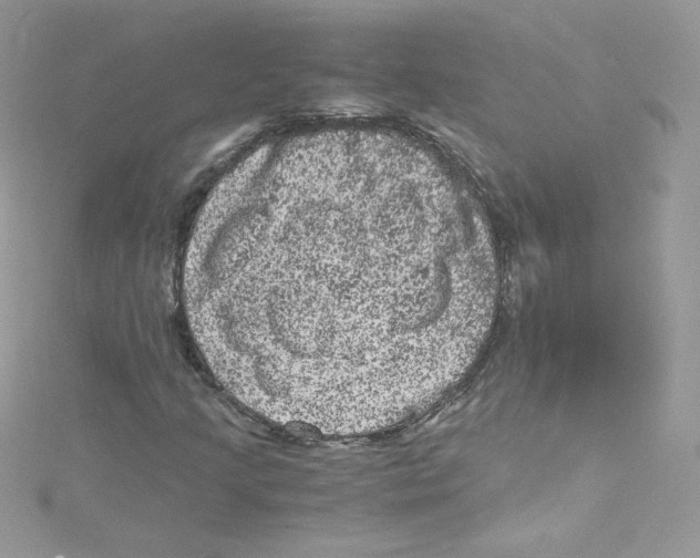 X0000114661205200911171104