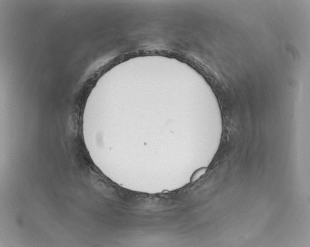 X0000114661207200911171104