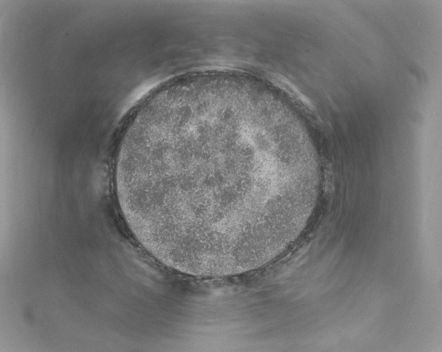 X0000114661208200911171104