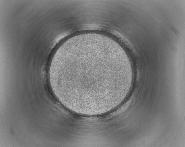 X0000114661210200911171104