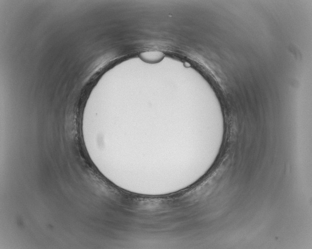 X0000114661211200911171104