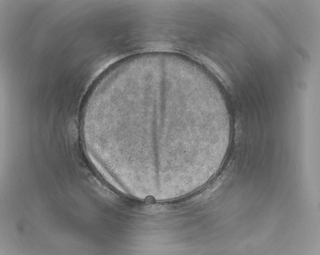 X0000114661212200911171104