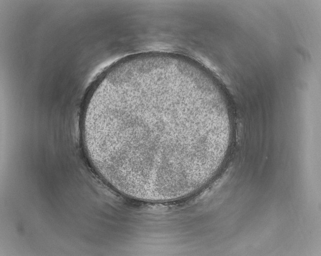 X0000114661214200911171104