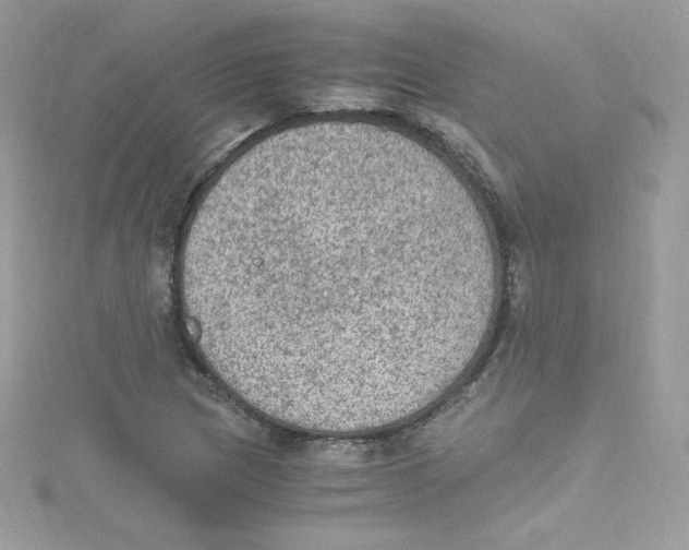 X0000114661217200911171104