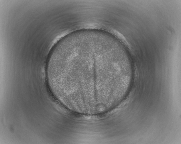 X0000114661218200911171104