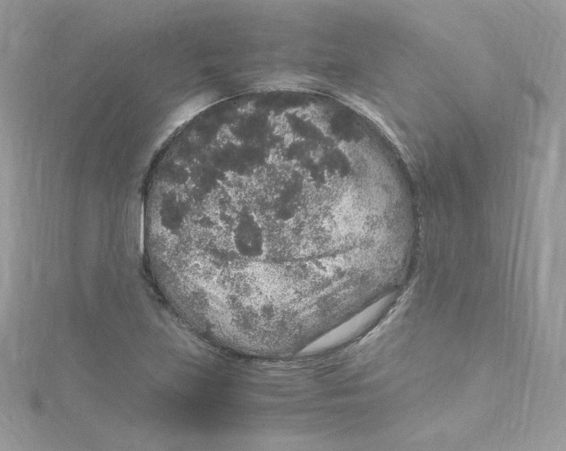 X0000114661219200911171104