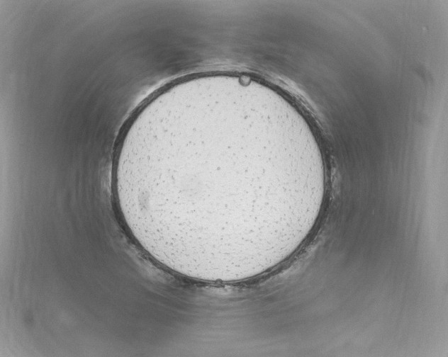 X0000114661220200911171104