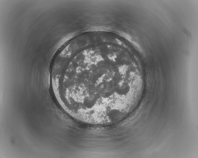 X0000114661221200911171104