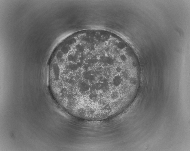 X0000114661223200911171104