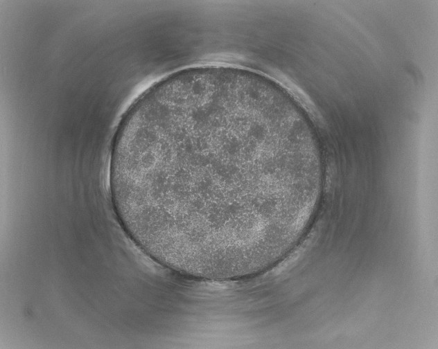 X0000114661224200911171104