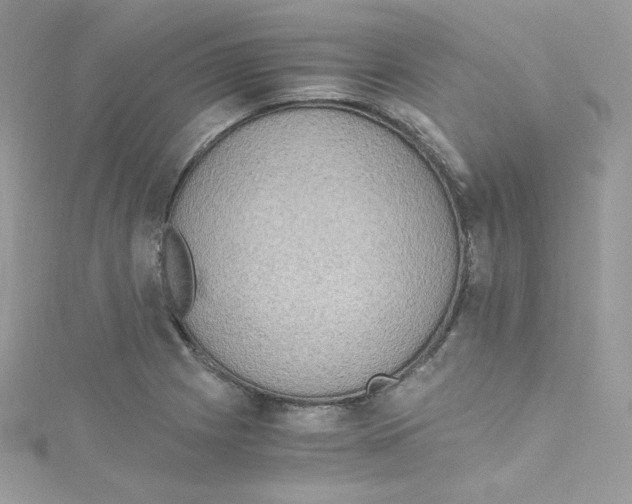 X0000114661225200911171104