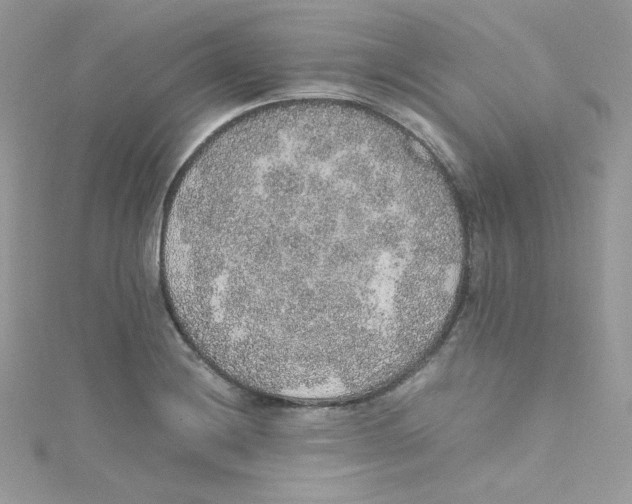 X0000114661228200911171104