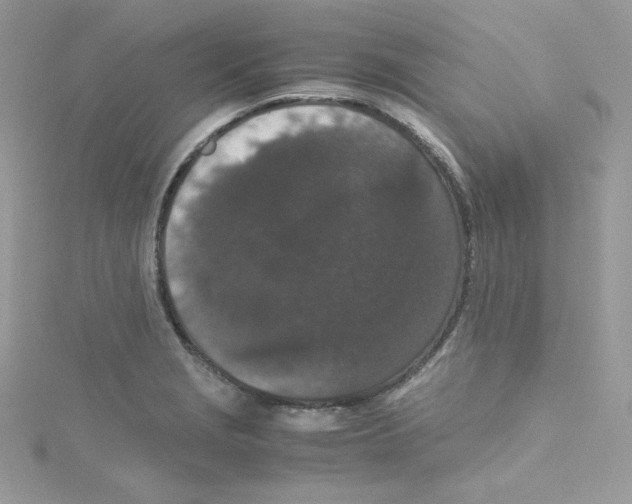 X0000114661229200911171104