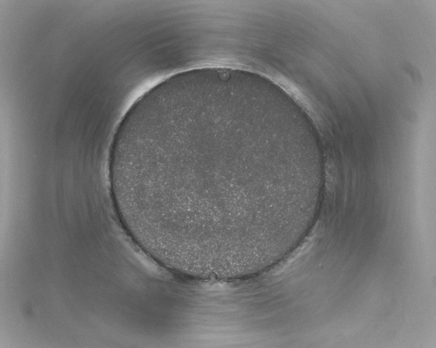 X0000114661230200911171104