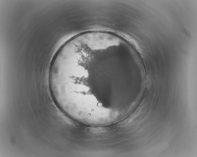 X0000114661231200911171104