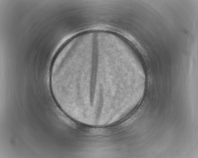 X0000114661232200911171104