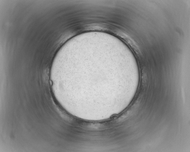 X0000114661233200911171104