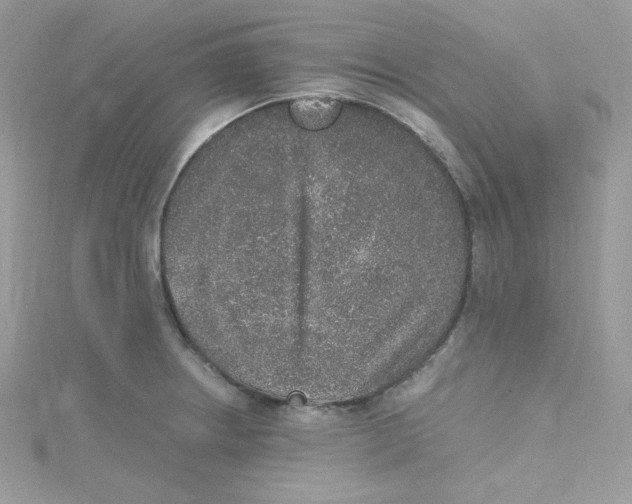 X0000114661234200911171104