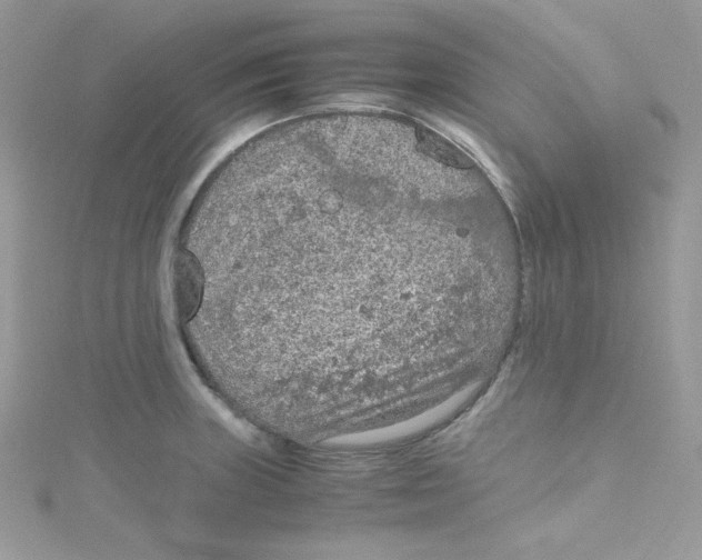 X0000114661235200911171104