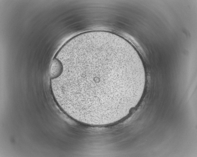 X0000114661236200911171104