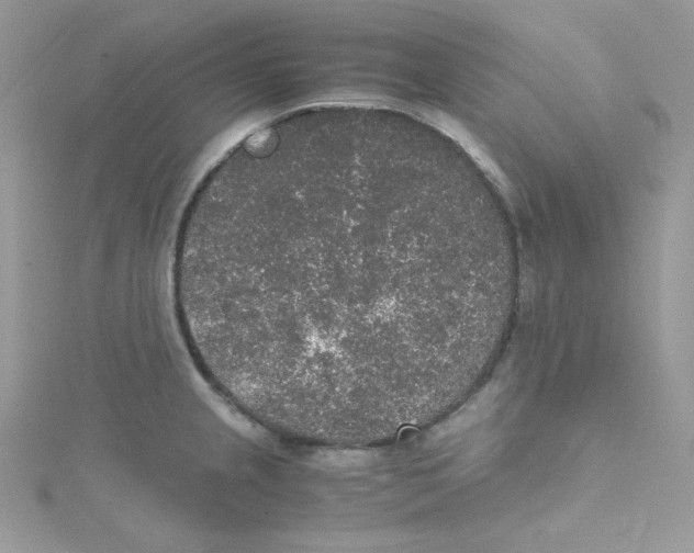 X0000114661237200911171104