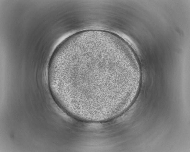 X0000114661238200911171104