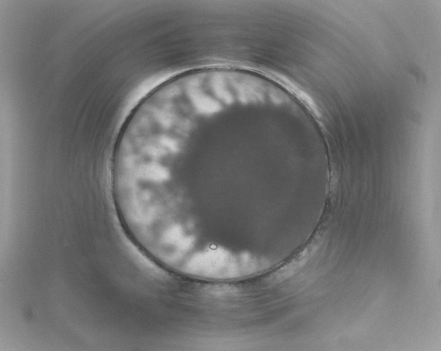 X0000114661239200911171104