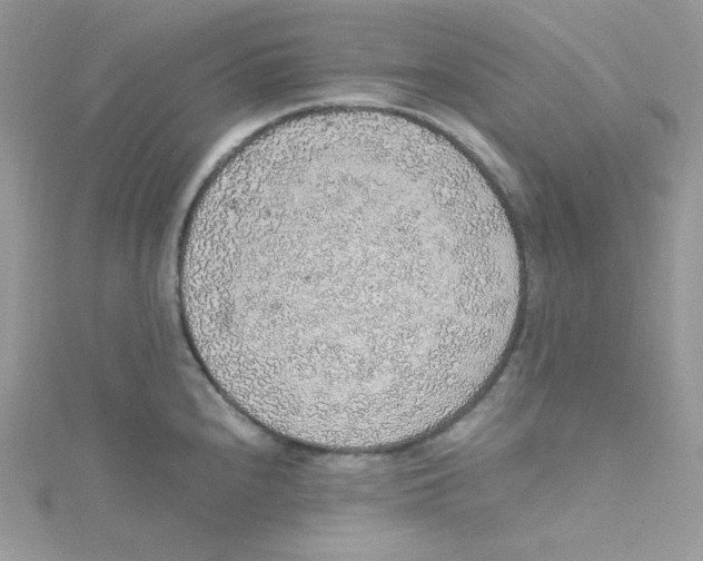 X0000114661240200911171104