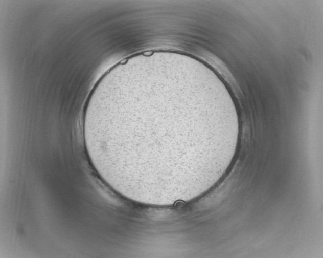 X0000114661242200911171104