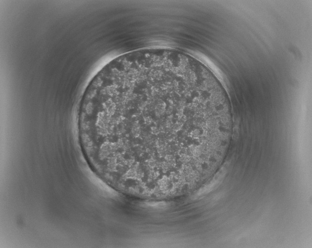 X0000114661243200911171104