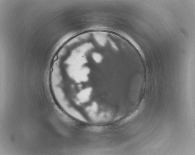 X0000114661245200911171104