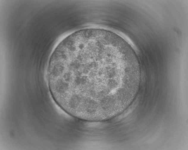 X0000114661247200911171104