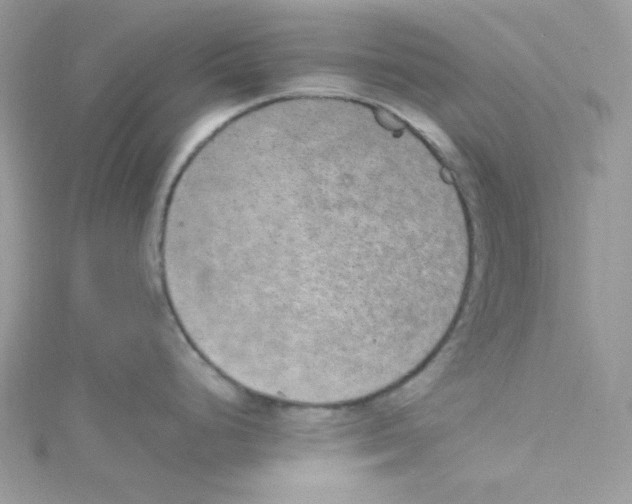 X0000114661248200911171104