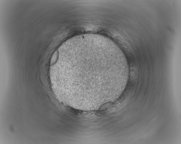 X0000114661249200911171104