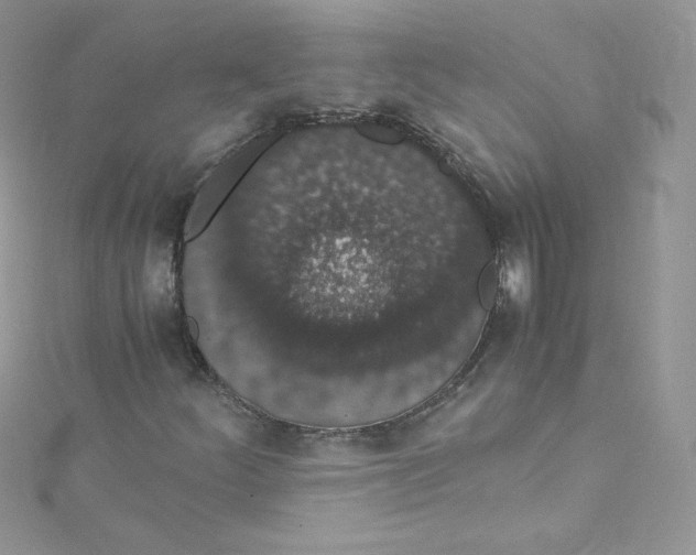 X0000114661252200911171104