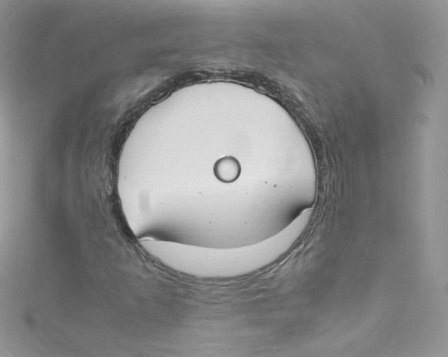 X0000114661253200911171104