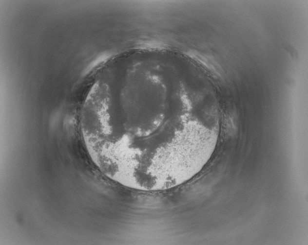 X0000114661254200911171104