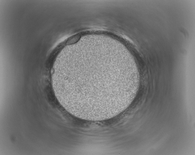 X0000114661255200911171104