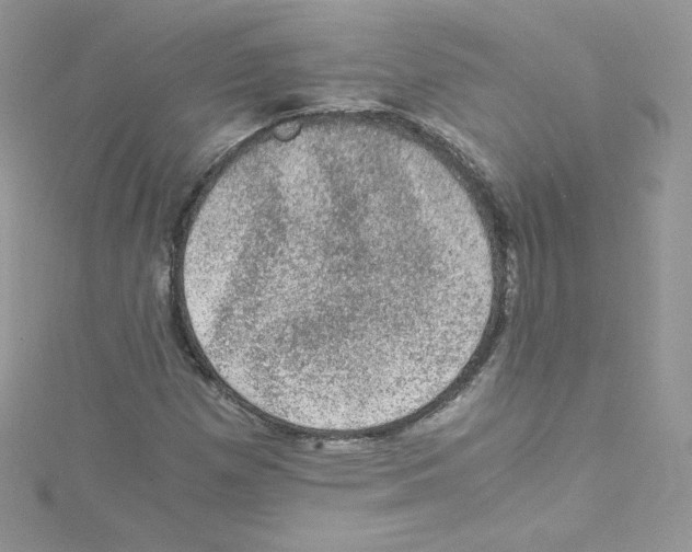 X0000114661257200911171103