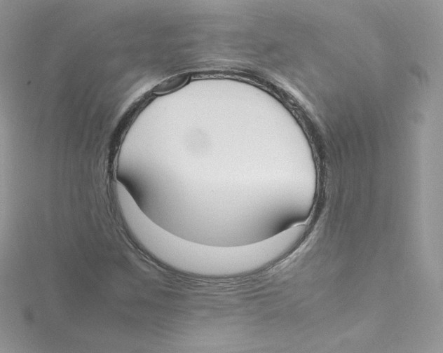 X0000114661259200911171103