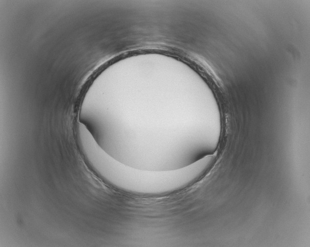 X0000114661260200911171103